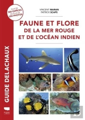 Guide Delachaux : Faune Et Flore De La Mer Rouge Et De L'Océan Indien
