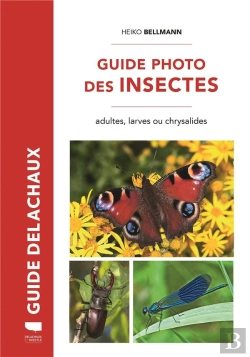 Bertrand.pt - Guide Delachaux : Guide Photo Des Insectes : Adultes, Larves Ou Chrysalides