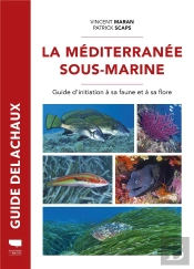Guide Delachaux : La Méditerranée Sous-Marine : Guide De La Faune Et De La Flore