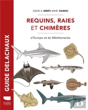 Guide Delachaux : Requins, Raies Et Chimères D'Europe Et De Méditerranée