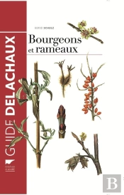 Guide Des Bourgeons Et Rameaux