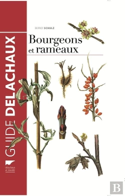 Bertrand.pt - Guide Des Bourgeons Et Rameaux