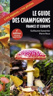Guide Des Champignons : France Et Europe