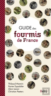 Guide Des Fourmis De France