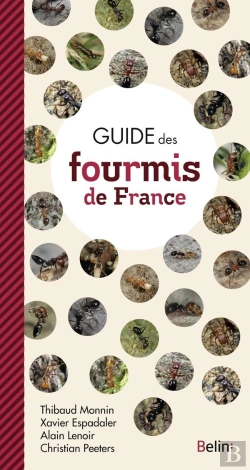 Bertrand.pt - Guide Des Fourmis De France