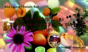 Guide Des Interactions Médicaments, Nutriments Et Produits Naturels