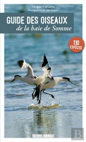 Guide Des Oiseaux De La Baie De Somme