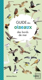Guide Des Oiseaux Des Bords De Mer