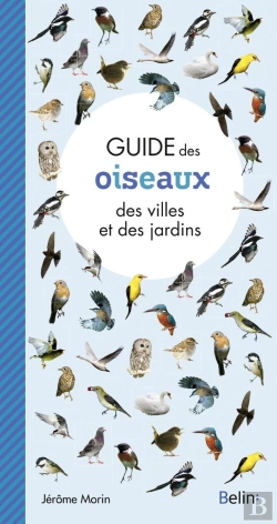 Bertrand.pt - Guide Des Oiseaux Des Villes Et Des Jardins