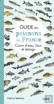 Guide Des Poissons De France ; Cours D'Eau, Lacs Et Étangs