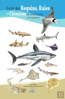 Bertrand.pt - Guide Des Requins, Raies Et Chimères Des Côtes Françaises Et Européennes