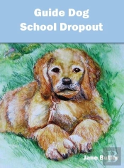 Guide Dog School Dropout