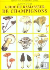 Guide Du Ramasseur De Champignons