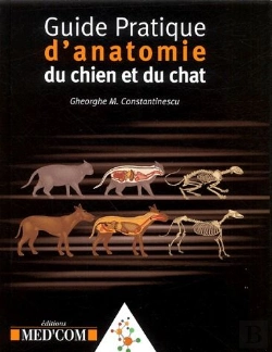 Bertrand.pt - Guide Pratique D'Anatomie Du Chien Et Du Chat