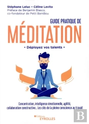 Guide Pratique De Meditation - Deployez Vos Talents - Concentration, Intelligence Emotionnelle, Agil
