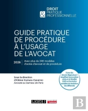 Guide Pratique De Procédure À L'Usage De L'Avocat : À Jour Des Décrets Magicobus 2 Simplifiant La  Procédure Civile Et Du 18 Juillet 2025 Sur Les Modes Amiables De Résolution Des Différends