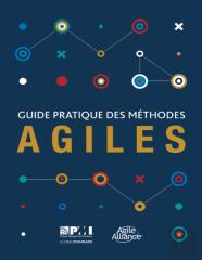 Guide Pratique Des Mathodes Agiles (French Edition Of Agile Practice Guide)