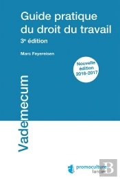 Guide Pratique Du Droit Du Travail (3e Édition)