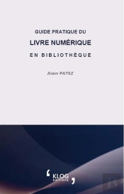 Guide Pratique Du Livre Numerique En Bibliotheque