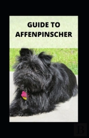 Guide To Affenpinscher