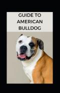 Guide To American Bulldog