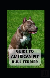 Guide To American Pit Bull Terrier