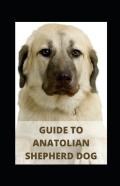 Guide To Anatolian Shepherd Dog