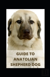 Guide To Anatolian Shepherd Dog