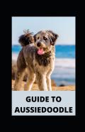 Guide To Aussiedoodle