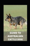 Guide To Australian Cattle Dog