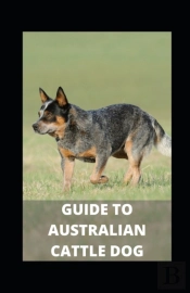 Guide To Australian Cattle Dog