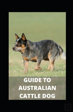 Bertrand.pt - Guide To Australian Cattle Dog