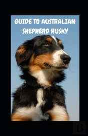 Guide To Australian Shepherd Husky