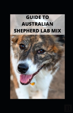 Bertrand.pt - Guide To Australian Shepherd Lab Mix