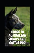 Guide To Australian Stumpy Tail Cattle Dog