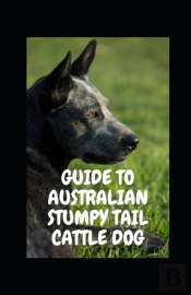 Guide To Australian Stumpy Tail Cattle Dog