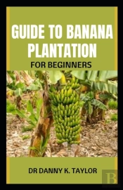 Guide To Banana Plantation For Beginner