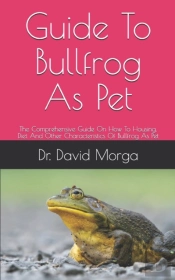 Guide To Bullfrog As Pet