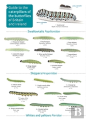 Guide To Caterpillars Of The Butterflies Of Britain And Ireland