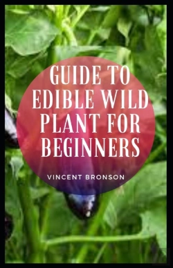 Bertrand.pt - Guide To Edible Wild Plant For Beginners