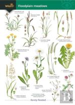 Guide To Floodplain Meadows
