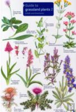 Bertrand.pt - Guide To Grassland Plants 2