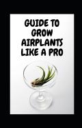 Guide To Grow Airplants Like A Pro