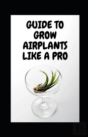 Guide To Grow Airplants Like A Pro
