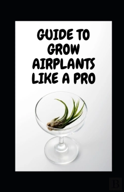 Bertrand.pt - Guide To Grow Airplants Like A Pro