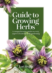 Guide To Growing Herbs