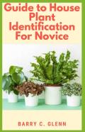 Guide To House Plants Identification For Novice