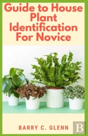 Guide To House Plants Identification For Novice