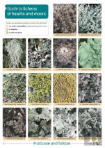 Guide To Lichens Of Heaths And Moors