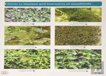 Guide To Mosses And Liverworts Of Woodlands